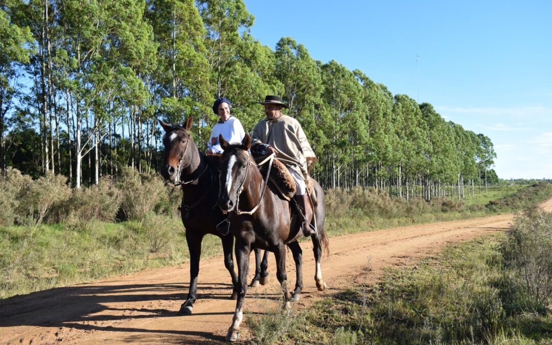 Cabalgata 1
