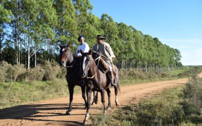 Cabalgata 1