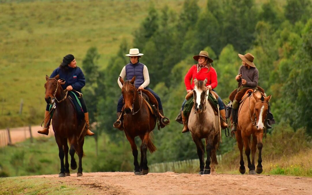 Cabalgata 2